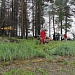 Путешествие на байдарках в большой компании по маршруту река Кереть (Карелия) – посёлок Лувеньга (Кольский полуостров)