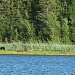 Путешествие на байдарках в большой компании по маршруту река Кереть (Карелия) – посёлок Лувеньга (Кольский полуостров)